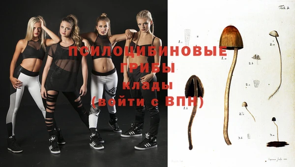 бошки Алексеевка