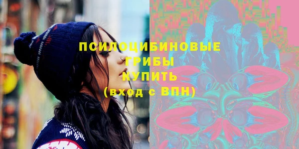 бошки Алексеевка